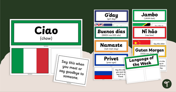 Go to Greetings in Different Languages Wall Display teaching resource