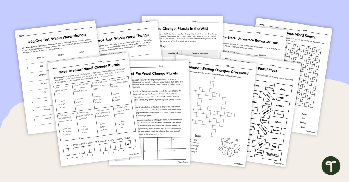 Irregular Plural Worksheets teaching resource