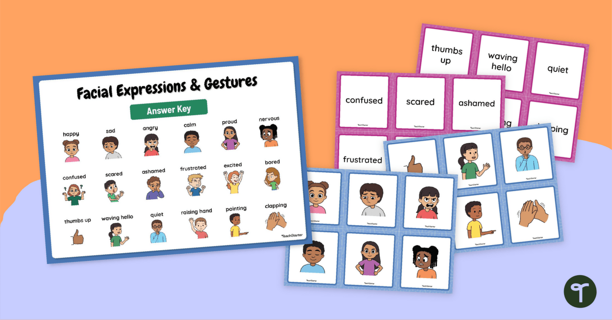 Facial Expressions and Gestures Sorting Activity teaching resource