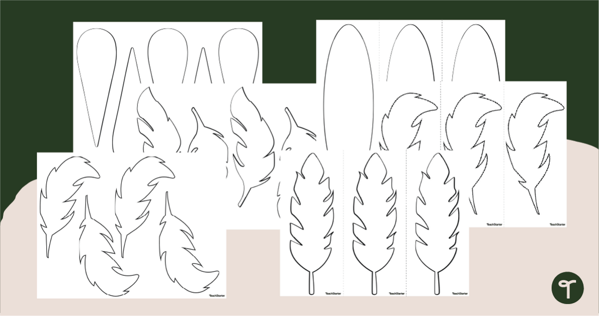 Turkey Feather Template Pack teaching resource
