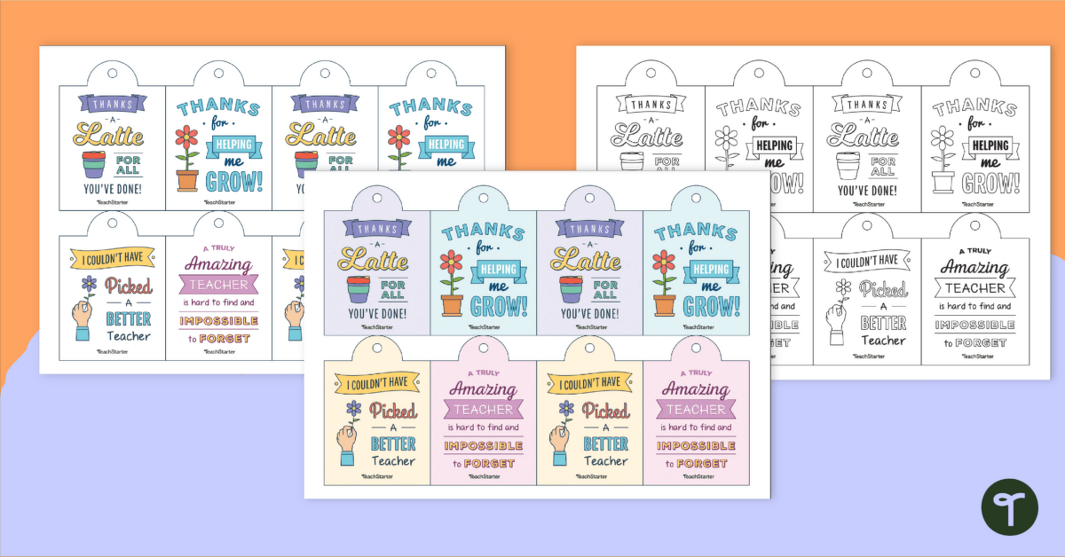 Teacher Gift Tags Printable teaching resource