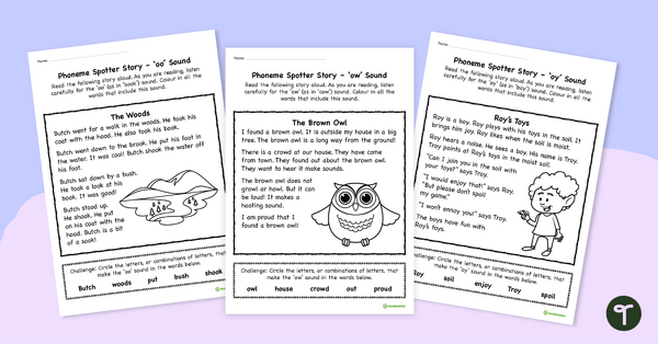 Go to Diphthong Phoneme Spotter Stories teaching resource