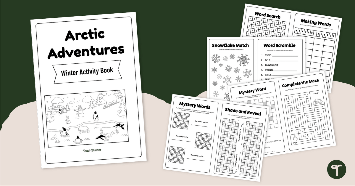Winter Puzzles Activity Book teaching resource