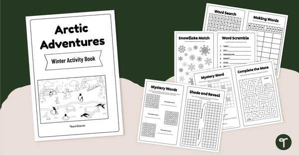 Go to Winter Puzzles Activity Book teaching resource
