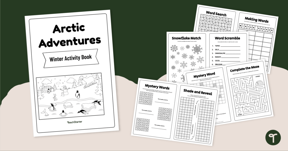 Winter Puzzles Activity Book teaching resource