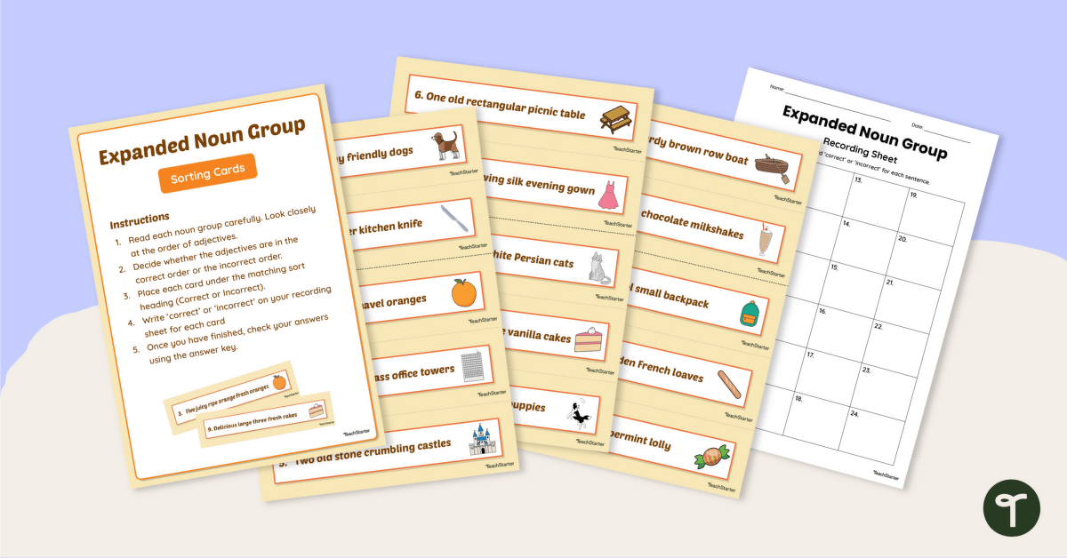 Expanded Noun Groups Sorting Activity teaching resource
