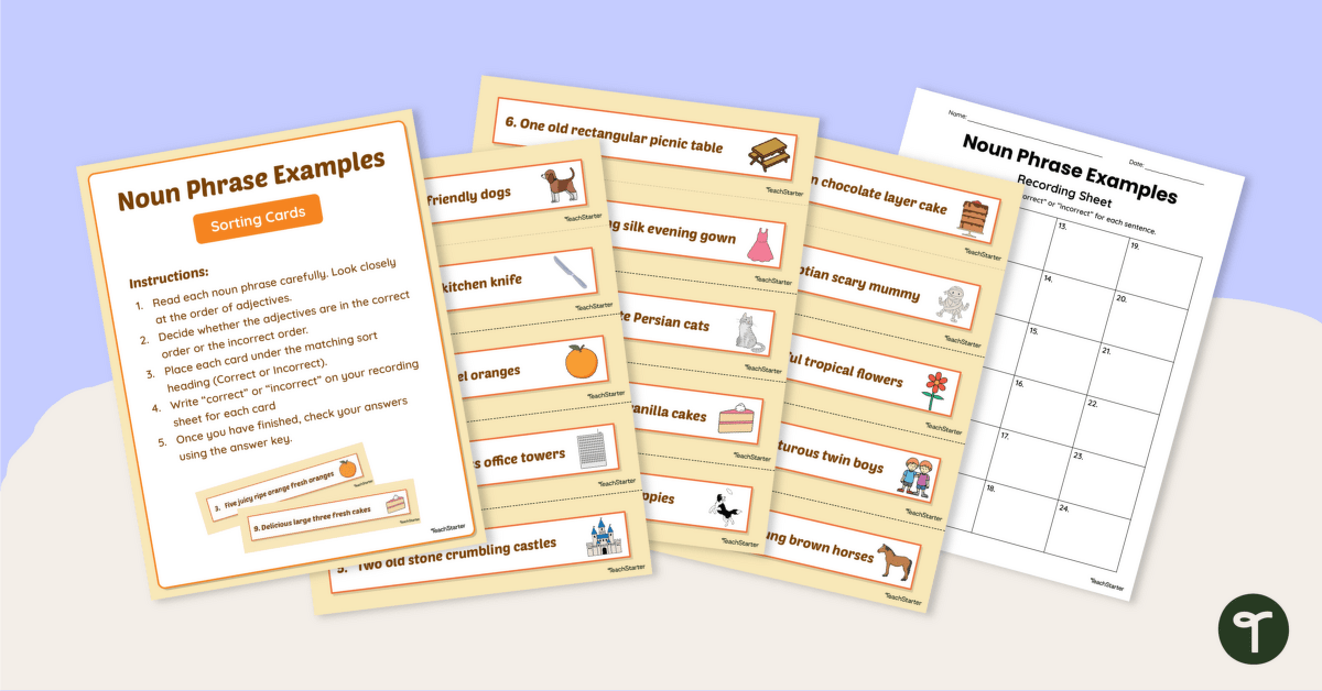 Noun Phrase Examples Sorting Activity teaching resource