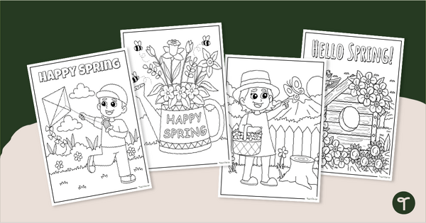 Go to Spring Colouring-In Activity Sheets teaching resource