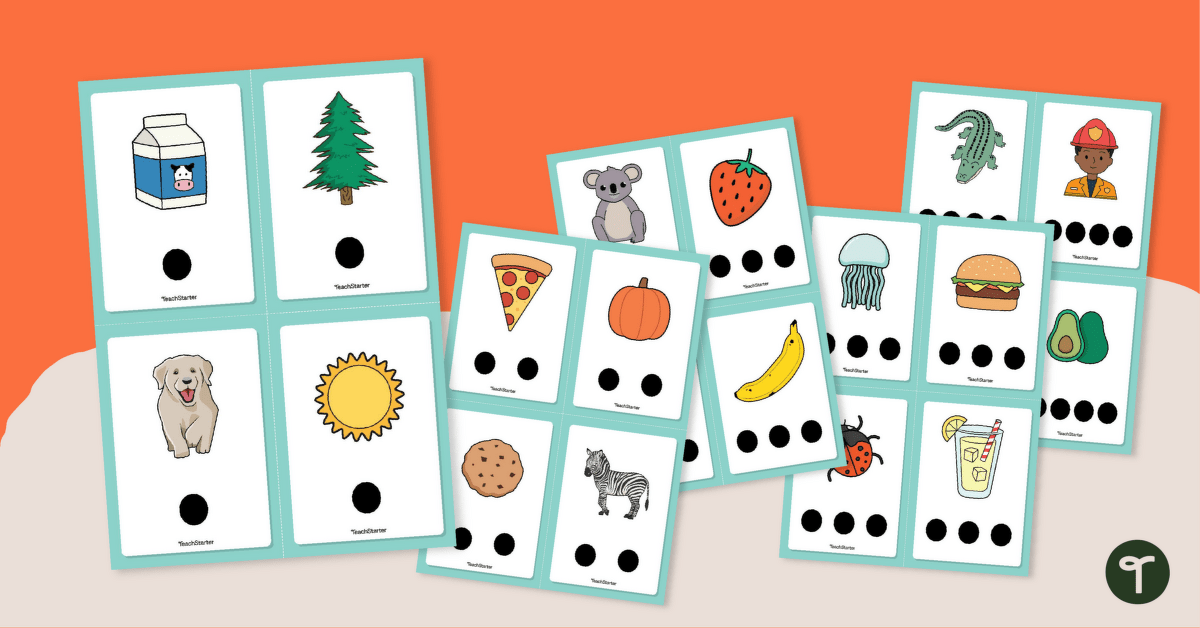 Syllable Flashcards teaching resource