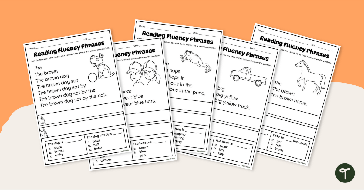 Sentence Fluency Worksheet Pack teaching resource