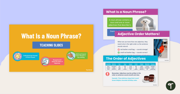 Go to What Is a Noun Phrase? Teaching Slides teaching resource