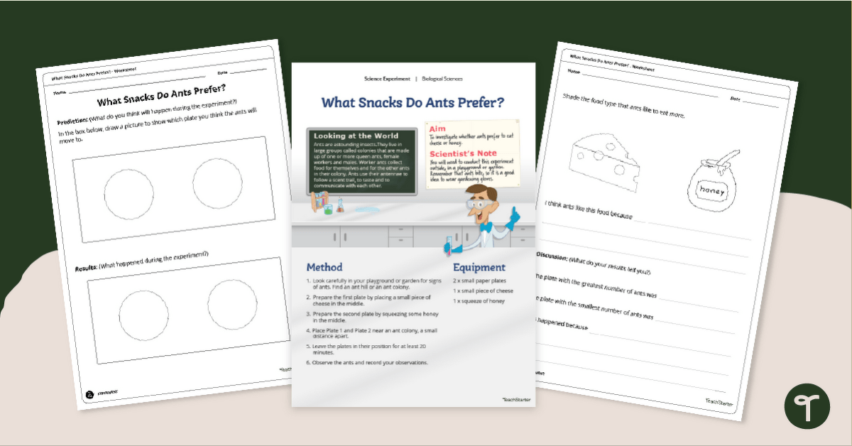 Science Experiment - What Snacks Do Ants Prefer? teaching resource