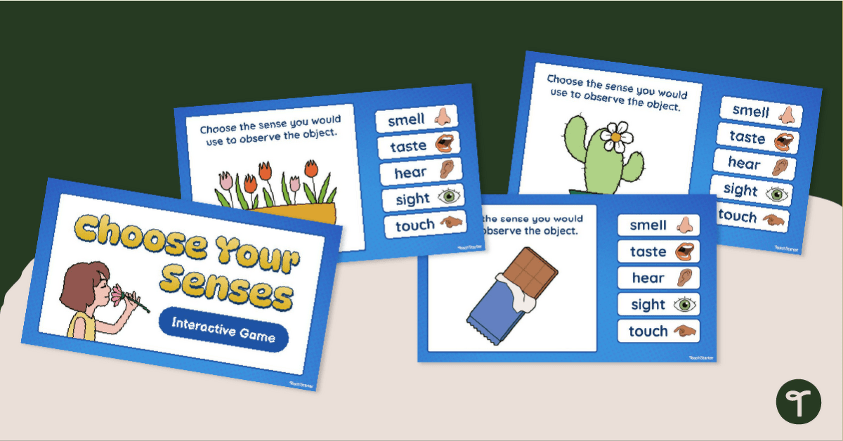Choose Your Senses Game - Interactive teaching resource