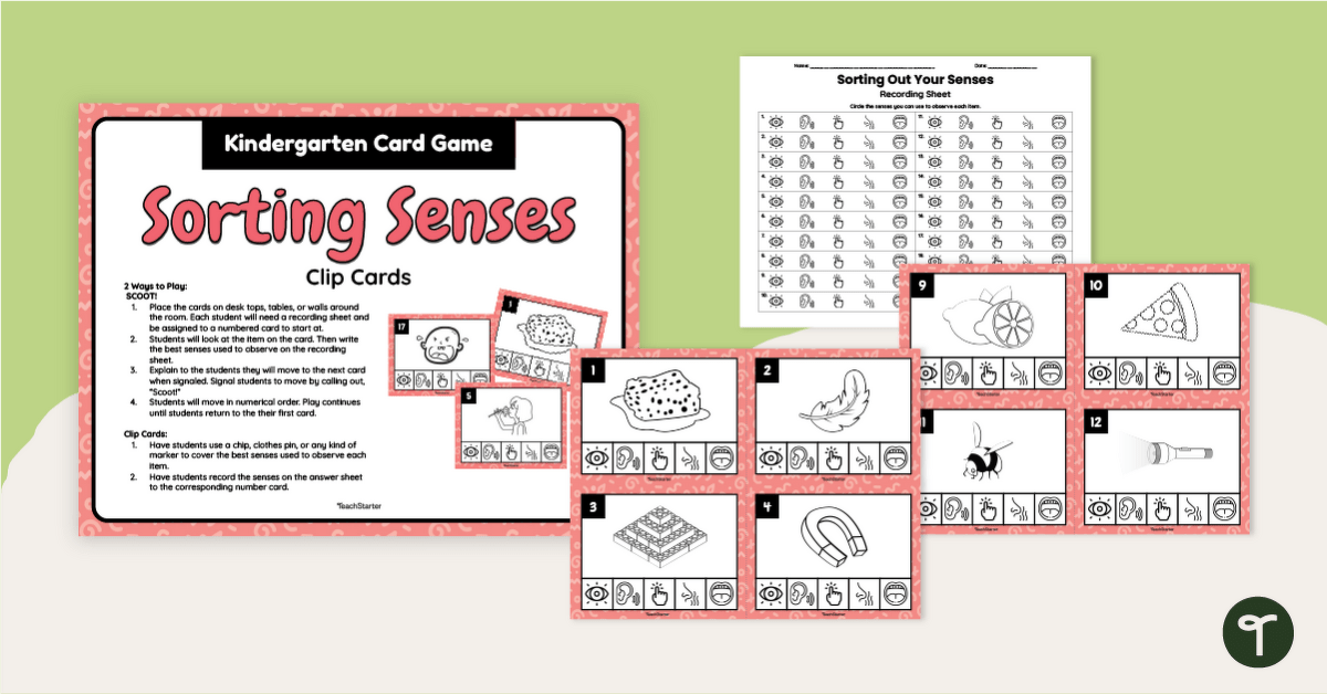 Sorting Senses Card Game teaching resource