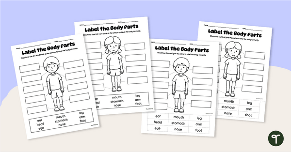 Go to Human Body Labelling Worksheet Pack teaching resource