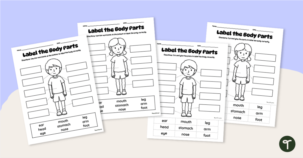 I Can Label Body Parts Worksheet Pack teaching resource