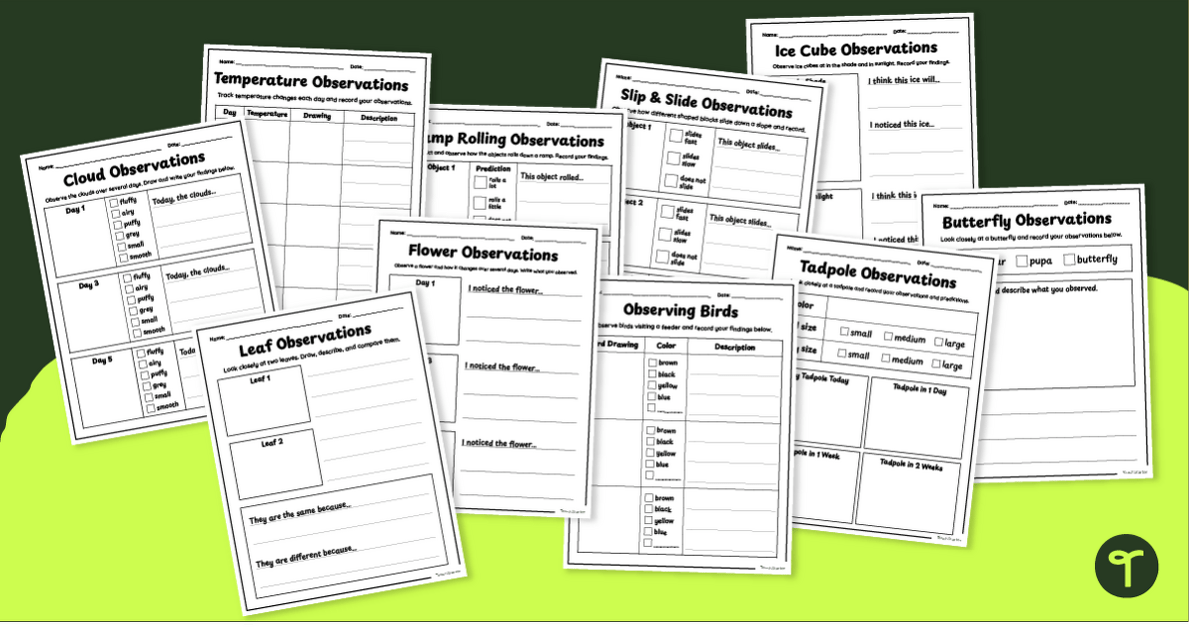Scientific Prediction & Observation Templates (K-2) teaching resource