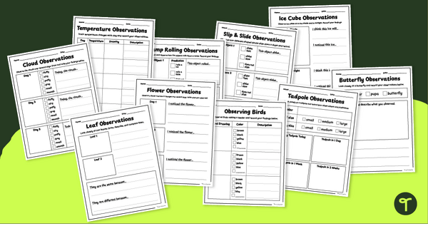 Go to Scientific Prediction & Observation Templates (K-2) teaching resource