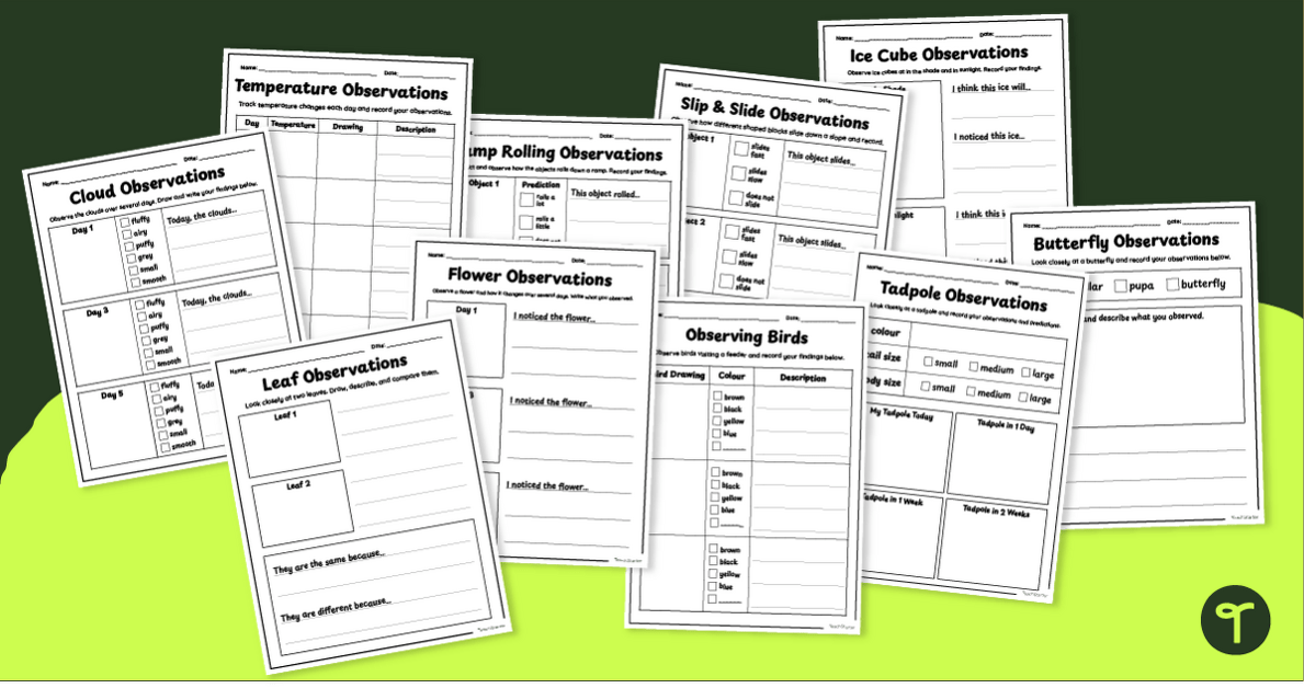 Scientific Prediction & Observation Templates teaching resource