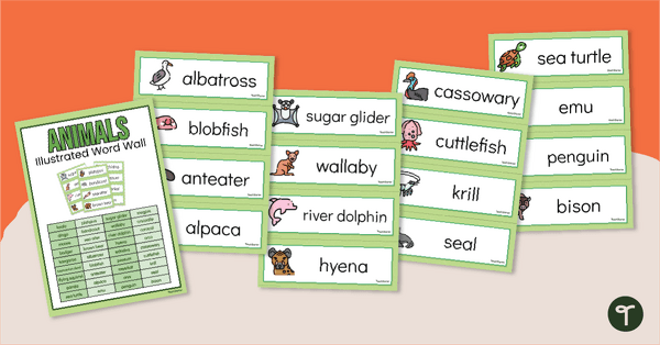 Go to Animal Flash Cards - Word Wall Display teaching resource