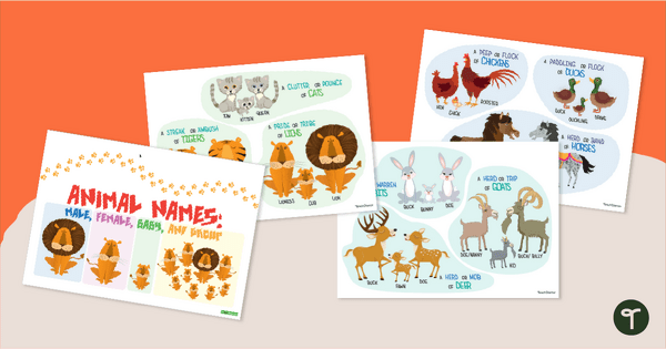 Go to Male, Female, Baby, and Group Animal Names- Posters teaching resource