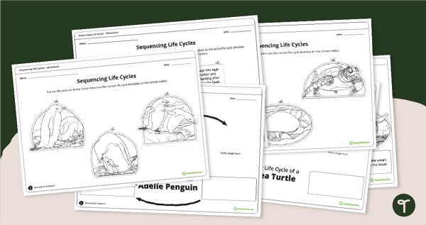 Go to Life Cycle of a Penguin & Sea Turtle Worksheets teaching resource