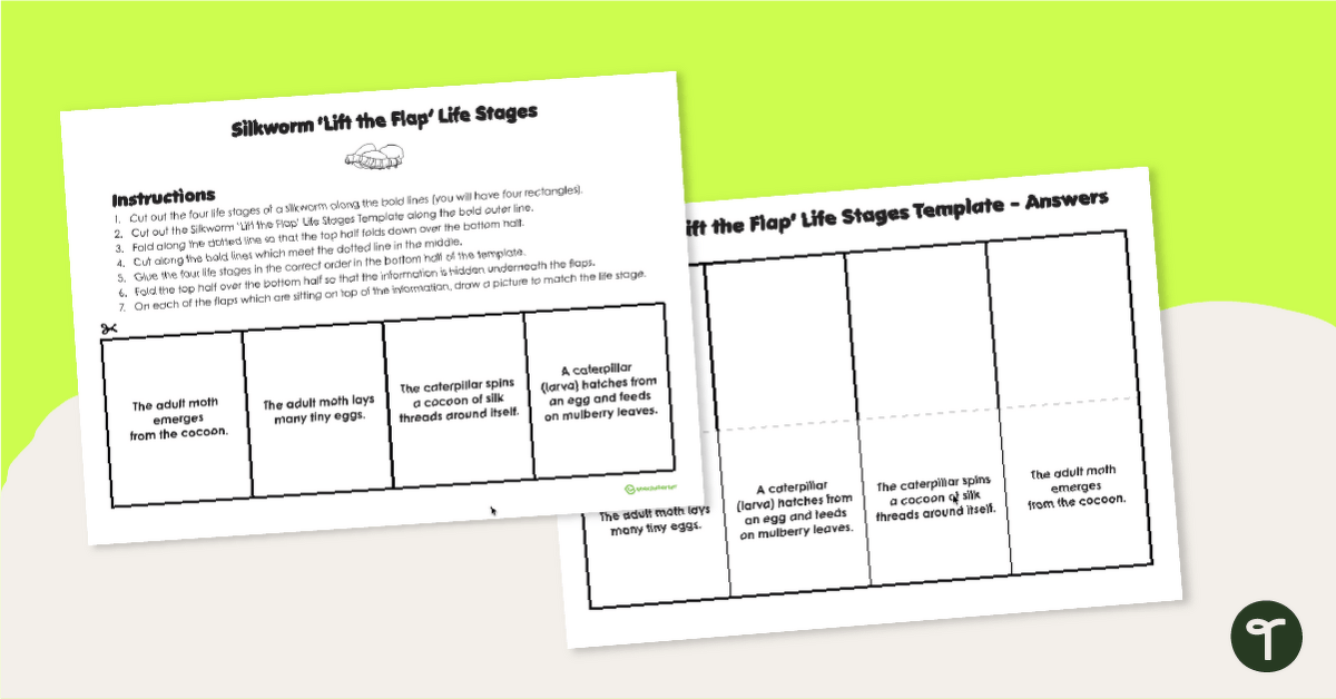 Silkworm 'Lift the Flap' Life Stages Template teaching resource