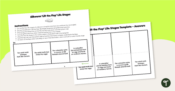 Go to Silkworm 'Lift the Flap' Life Stages Template teaching resource