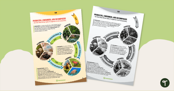 Go to Producer, Consumer, Decomposer - Poster teaching resource