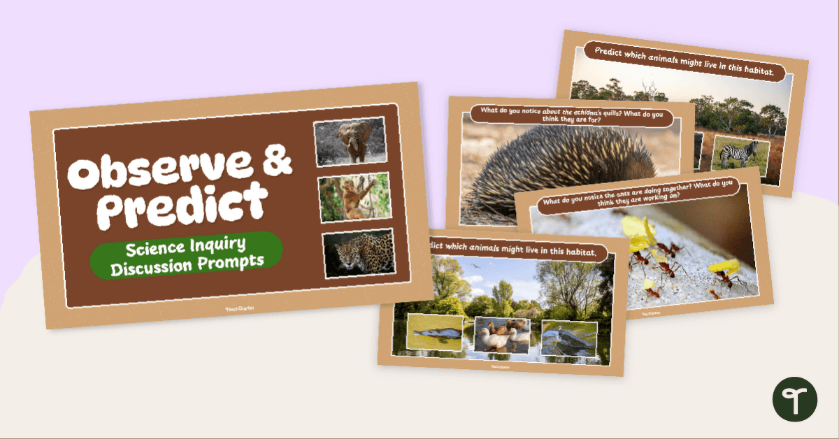 Science Inquiry Discussion Prompts - The Natural World teaching resource