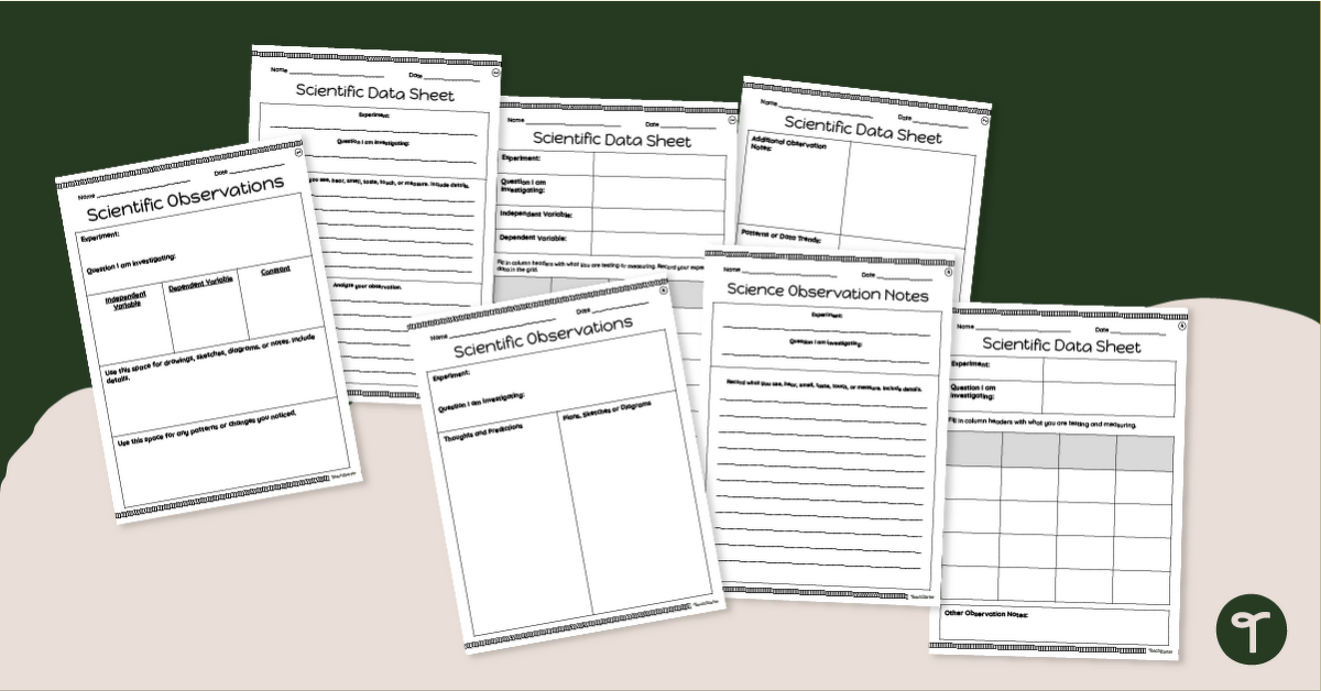 Science Observation Table Templates teaching resource