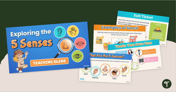 Go to Exploring the Five Senses PowerPoint teaching resource