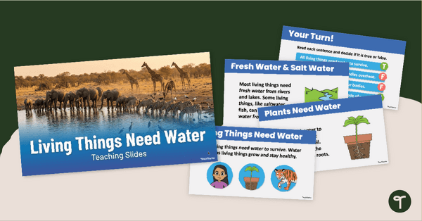 Go to Living Things Need Water PowerPoint teaching resource