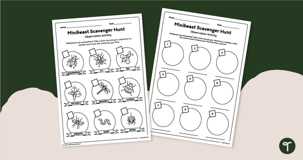 Go to Minibeast Scavenger Hunt- Outdoor Observation Activity teaching resource