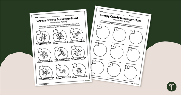 Go to Insect Scavenger Hunt- Outdoor Observation Activity teaching resource