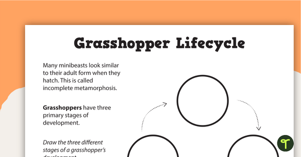 Go to Grasshopper Life Cycle Worksheet - Drawing Activity teaching resource