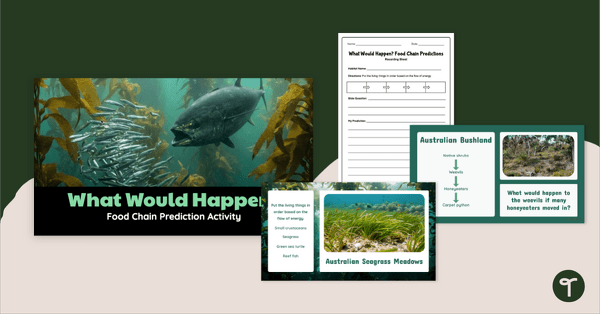 Go to What Would Happen? Food Chain Prediction Activity teaching resource