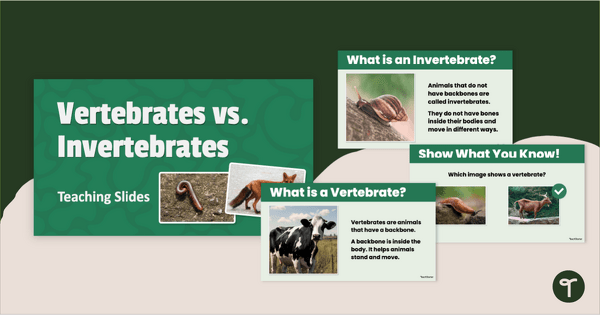 Go to Vertebrate vs. Invertebrates PowerPoint (F-2) teaching resource