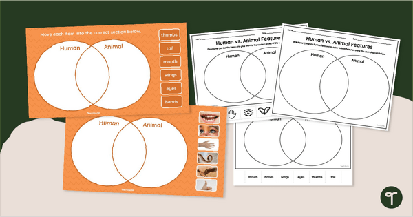 Go to Humans vs. Animals Venn Diagram Activity teaching resource