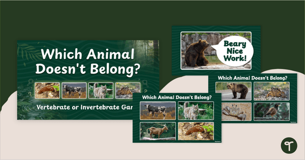 Go to Which Doesn’t Belong? Vertebrate or Invertebrate Game teaching resource