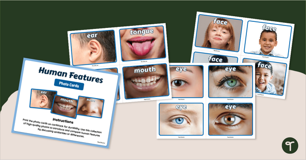 Go to Human Features Picture Cards teaching resource