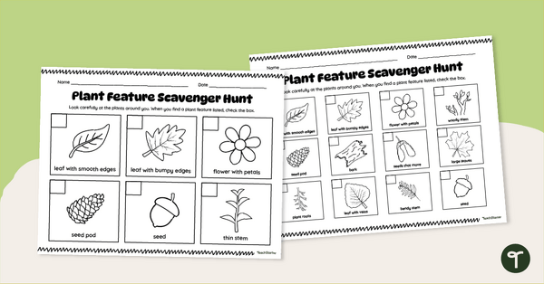 Go to Features of a Plant Scavenger Hunt Checklists teaching resource