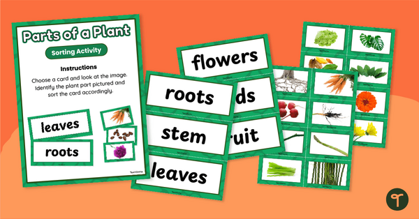 Go to Parts of Plants Sorting Activity (K-2) teaching resource