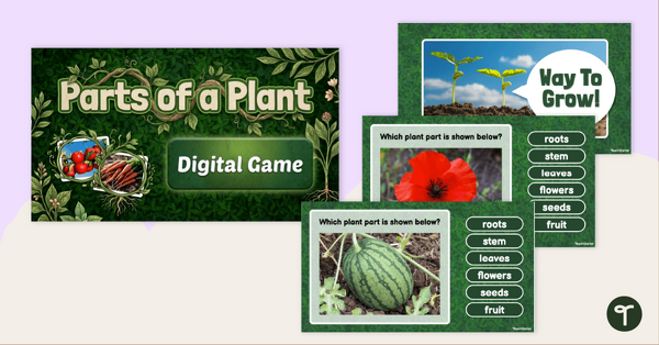 Go to Interactive Parts of a Plant Game teaching resource