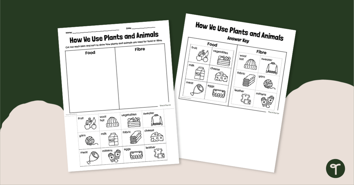 How We Use Plants and Animals Worksheet teaching resource