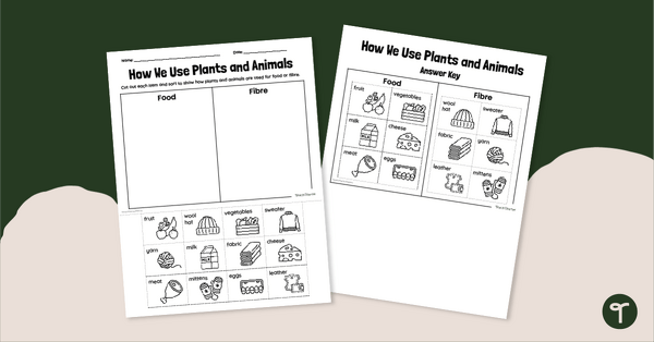Go to How We Use Plants and Animals Worksheet teaching resource
