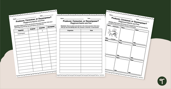 Go to Producer, Consumer, or Decomposer? Activity - Outdoor Search and Find teaching resource