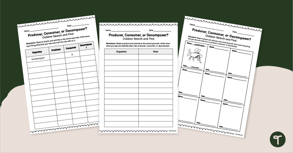 Producer, Consumer, or Decomposer? Activity - Outdoor Search and Find teaching resource