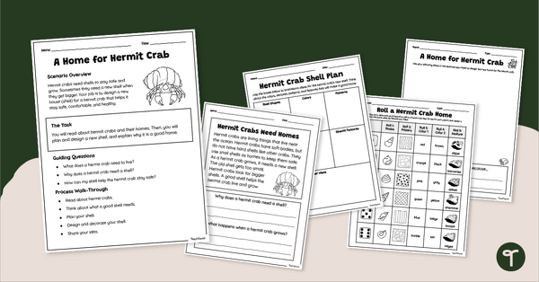 Go to A House for Hermit Crab Activity Pack teaching resource