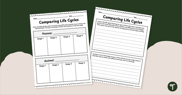 Go to Comparing Human and Animal Life Cycles Worksheet Pack teaching resource